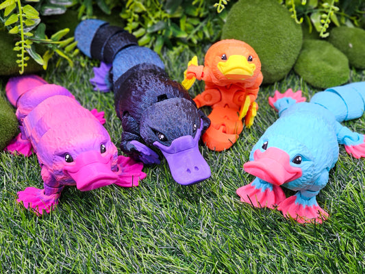 Custom 3D Printed Duck-Billed Platypus - Articulated Desktop Toy by MatMire_Makes