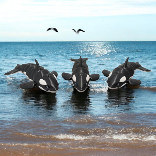 3D Printed Orca Killer Whale | Modern Marine Animal Decor | Whale Lover's Unique Gift | Ocean-Inspired Art | BoxSkull design