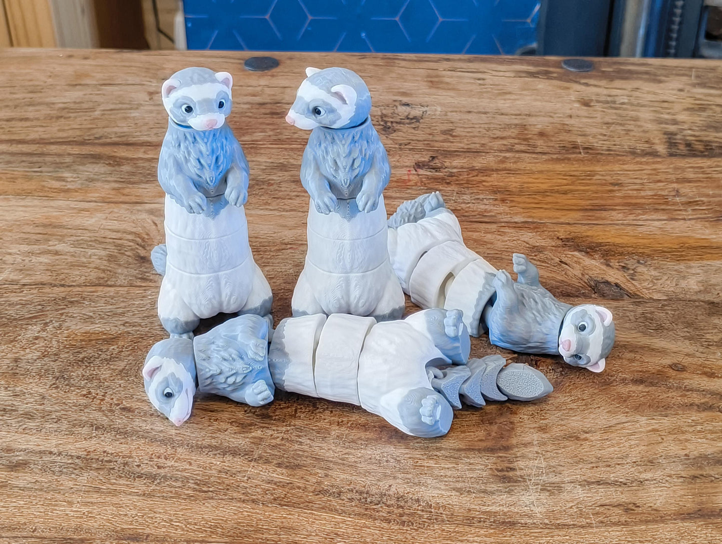 Accurate articulated model of grey and white ferret, self standing model